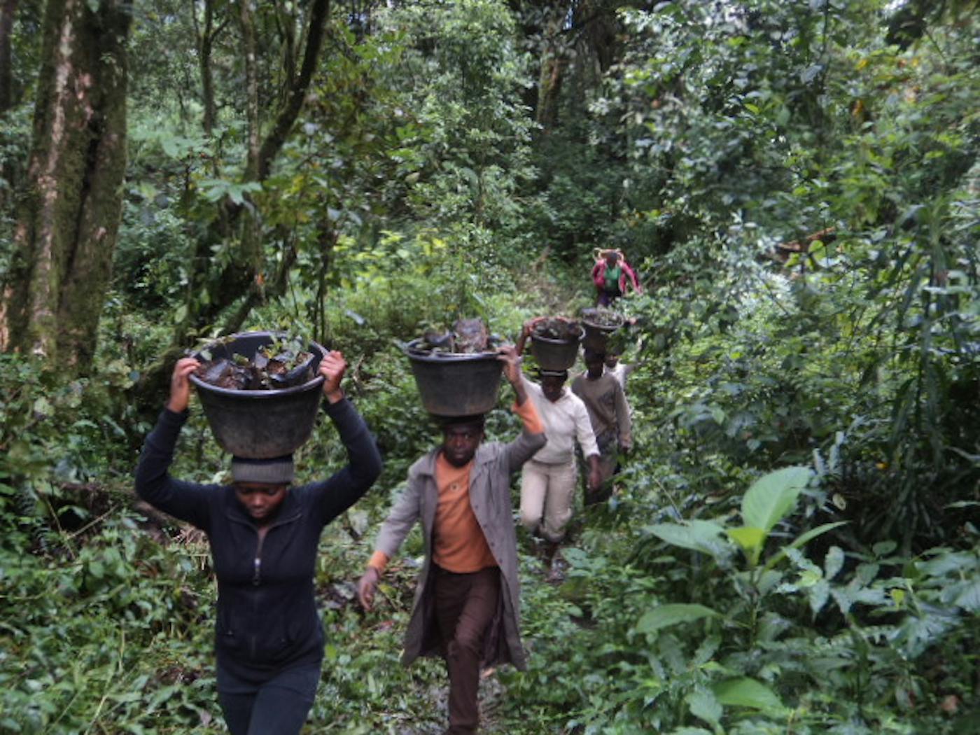 Protecting Nature in Cameroon by Centering Social Justice and Women Empowerment
