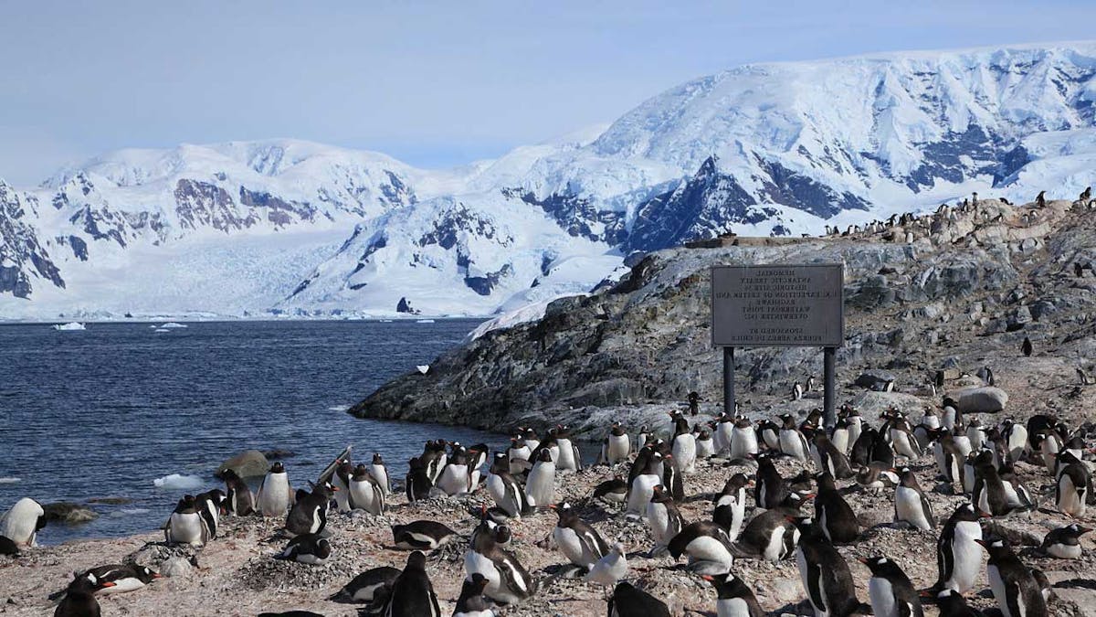 Antarctic Continent & Islands