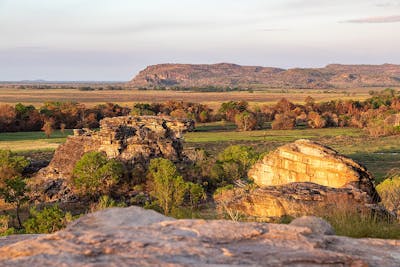 North Australian Tropical Savannas (AU8)