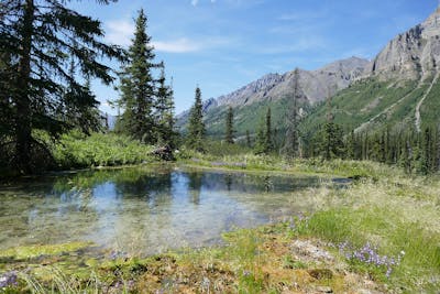 Greater Yukon (NA6)