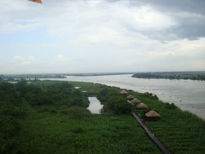 Yucatan & Veracruz Mixed Forests (NT27)