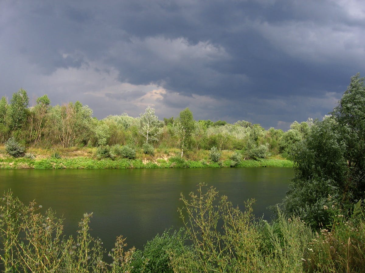 European Interior Mixed Forests (PA12)