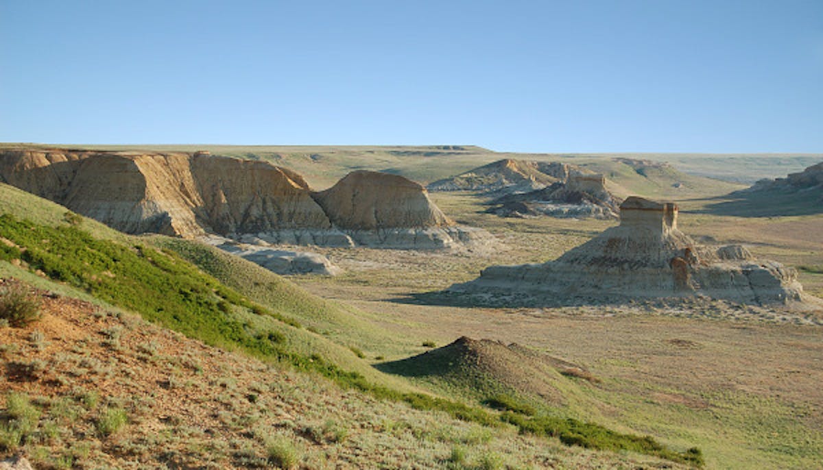 Kazakh Steppes & Hemiboreal Forests