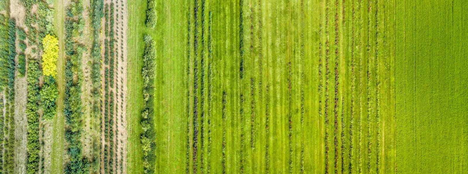 Agroecology Fund