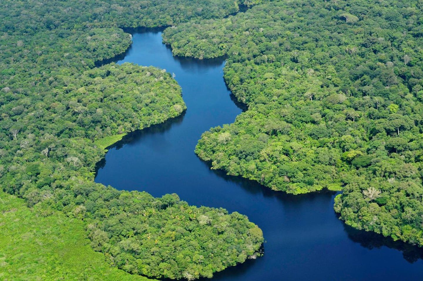 Protecting 50% of our Lands and Oceans