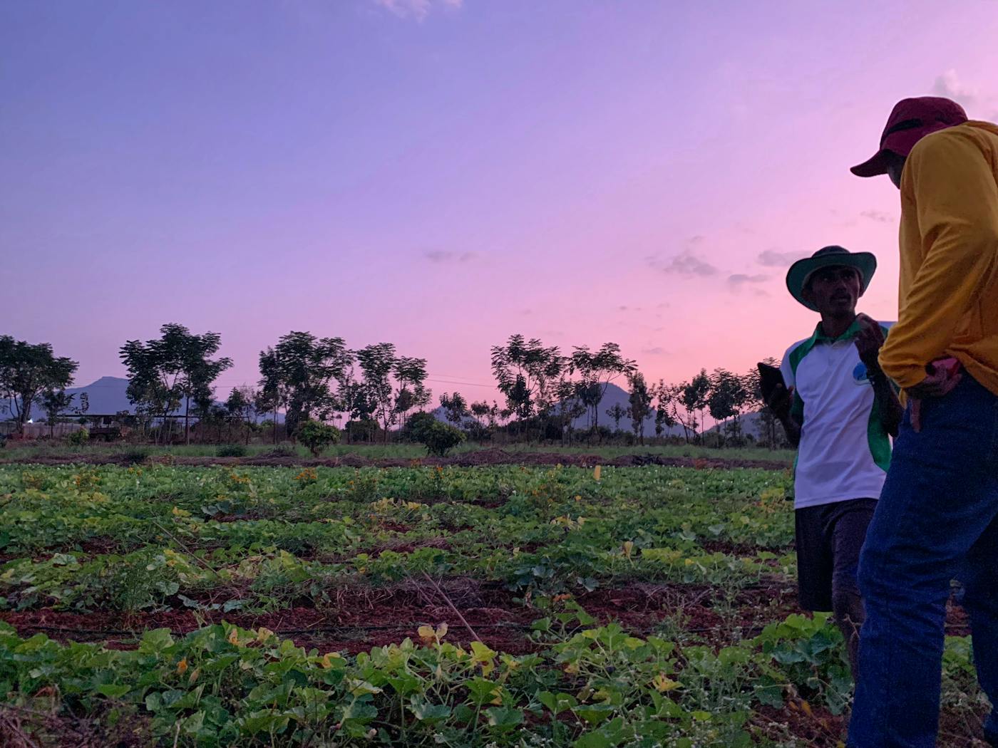 Promoting Farmer-to-Farmer Training across South Asia through the Amrita Bhoomi School