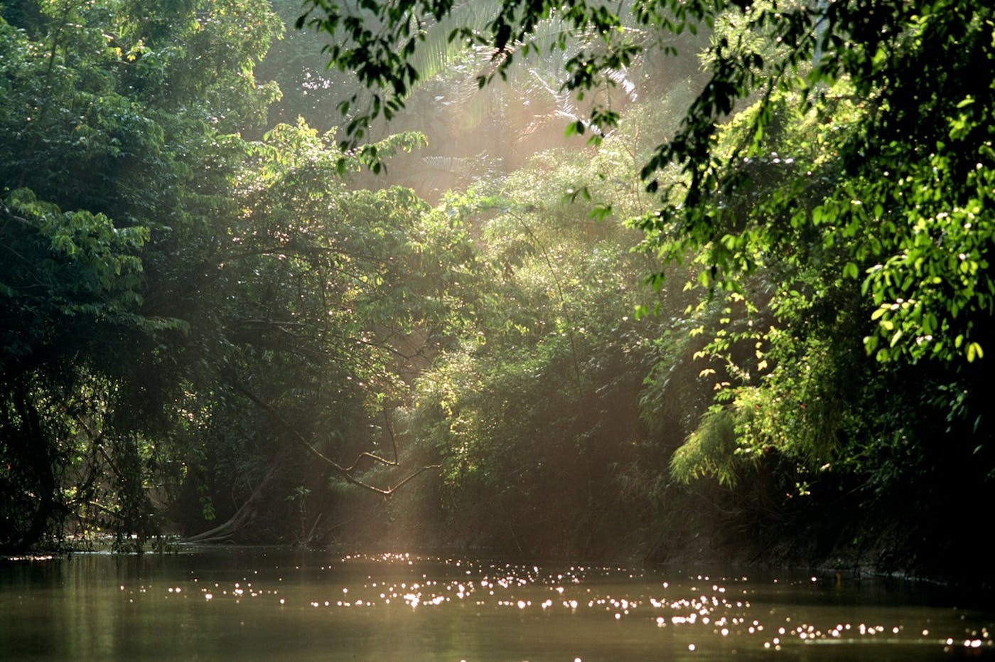 Securing the Boden Creek Corridor in Belize, linking the Mountains and the Sea