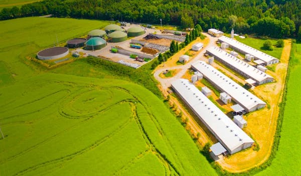 Sustainable Biomass Power