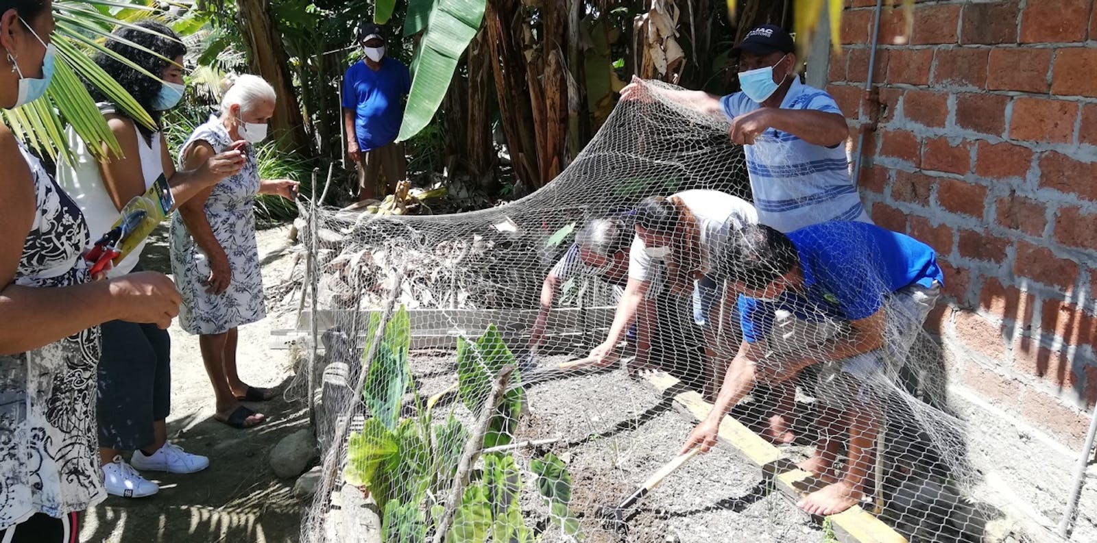 Coordinadora Nacional para la Defensa del Ecosistema Manglar (C-CONDEM)