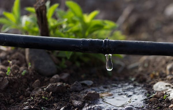 Dryland Irrigation