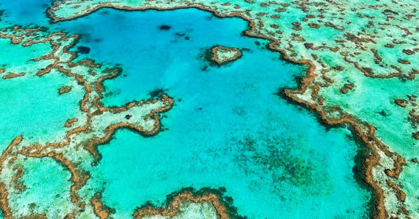 Protected Seas