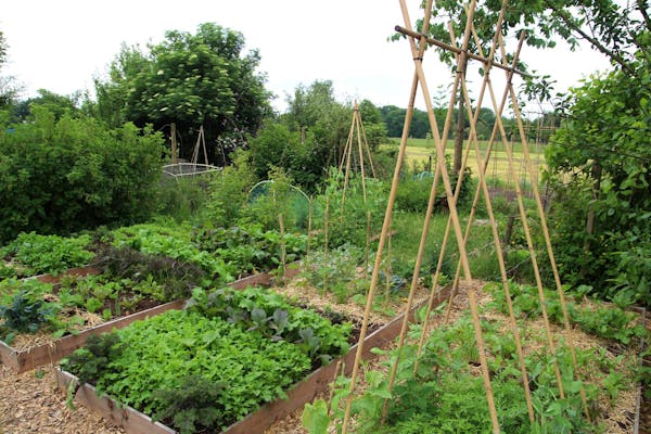 Cropland Restoration