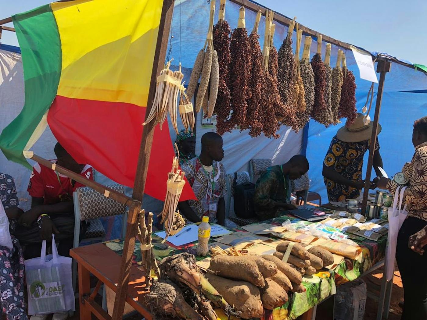 We Are the Solution: A Women-led Campaign to Teach Agroecology in West Africa and Increase Access to Nutritious, Ancestral Foods