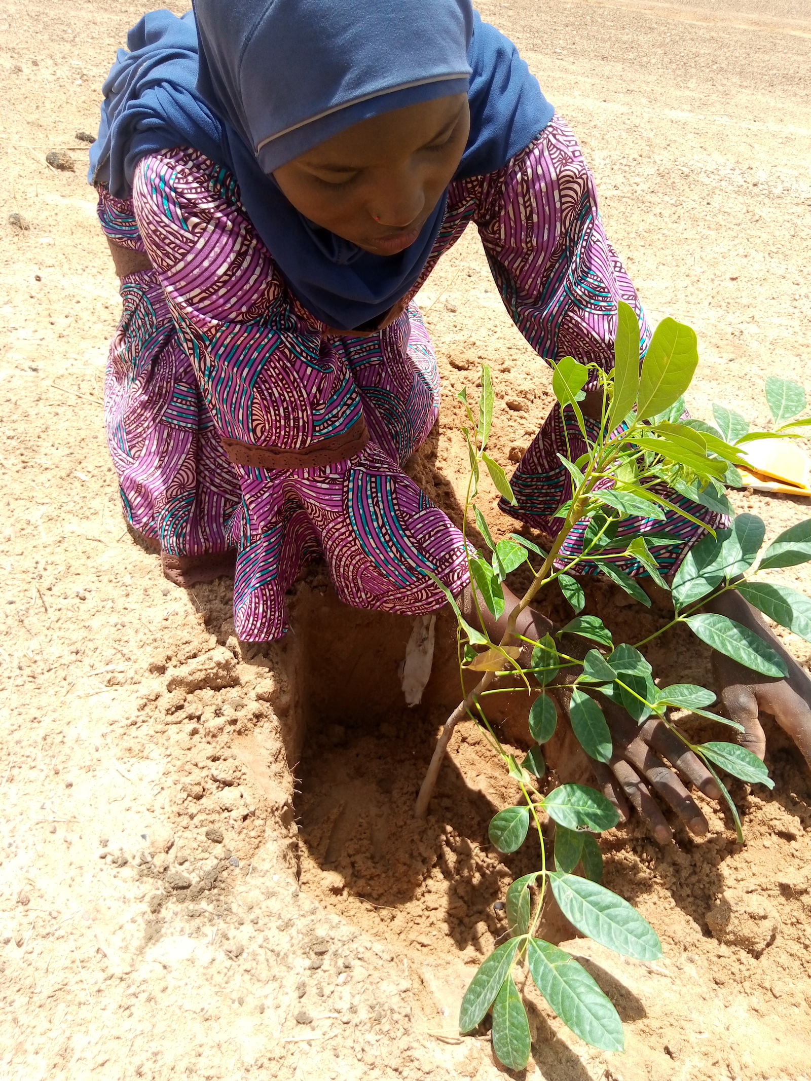Image Credit: Sahara Sahel Foods.