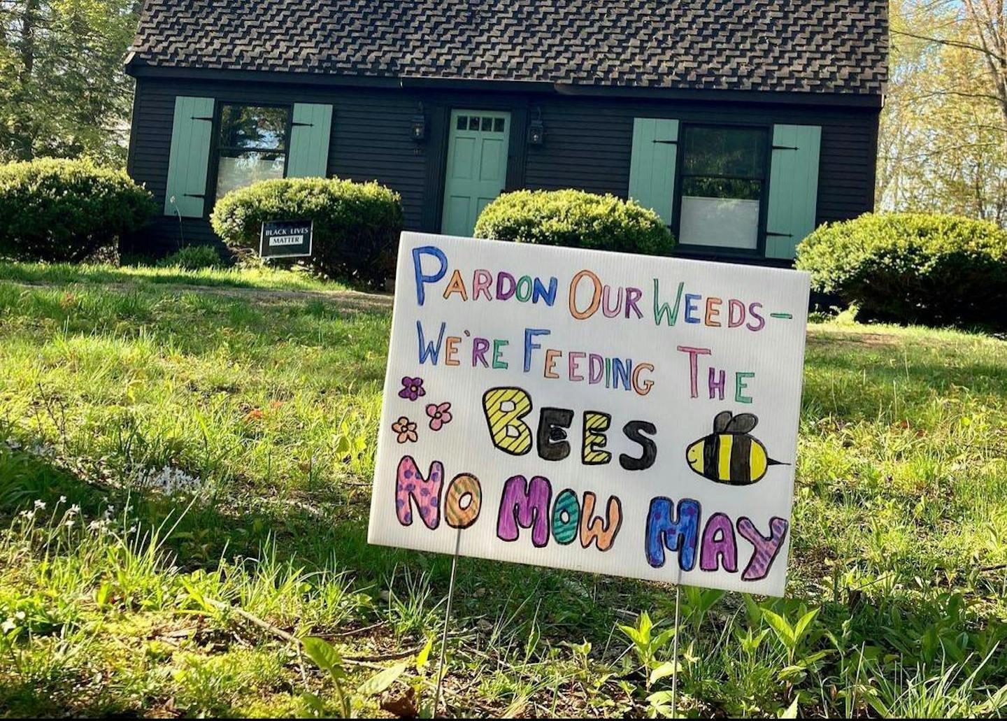 No Mow May: A movement to help save essential pollinators