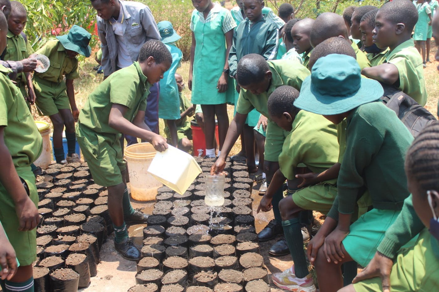 Restoring Essential Pollinator Habitats in the Gokwe District of Zimbabwe