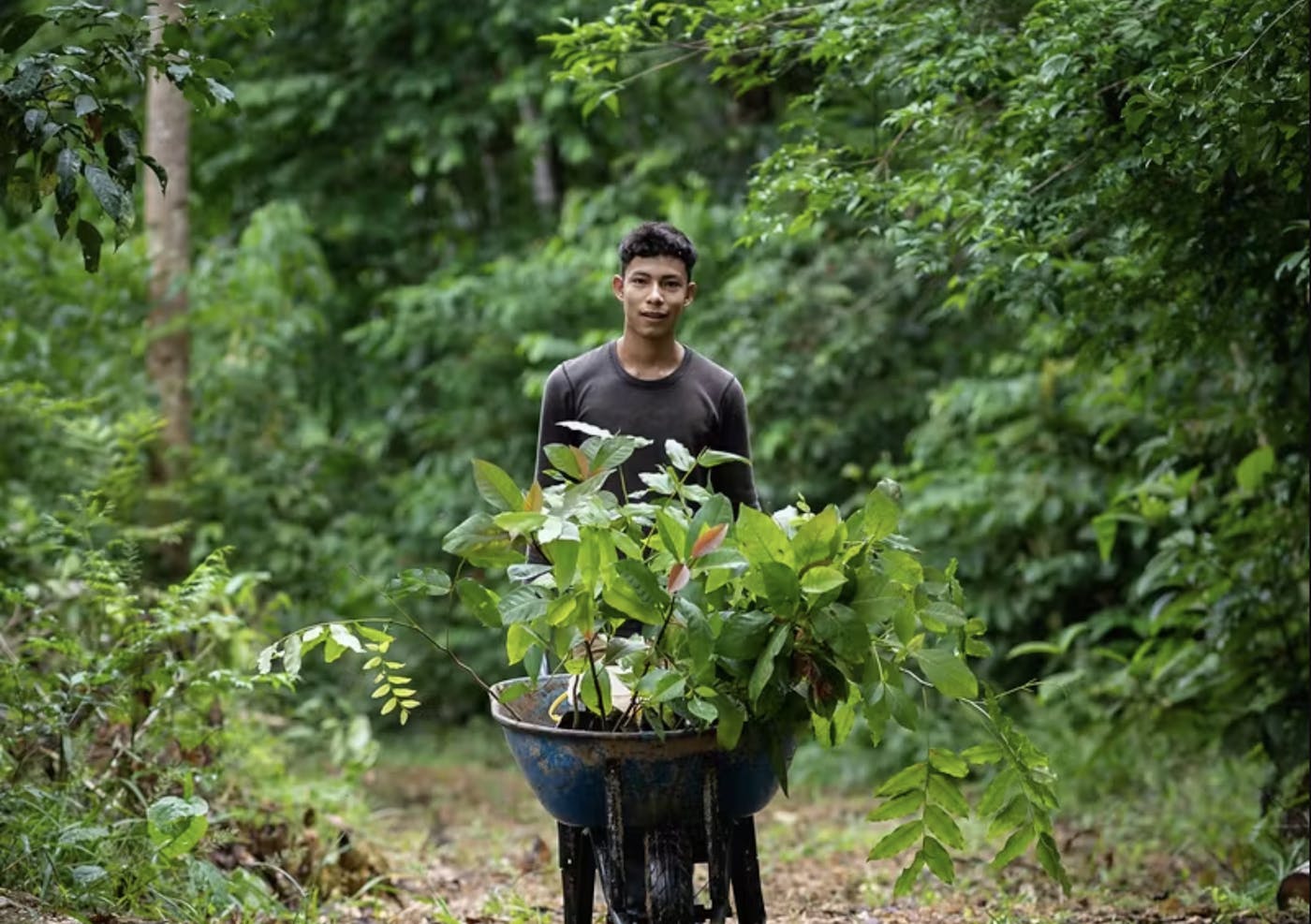 Restoring Degraded Lands in Kenya Through Reforestation and Gender Equity