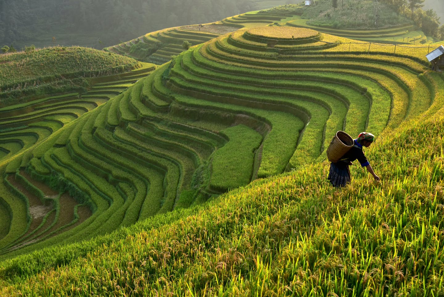High resolution and current data are needed to create a sustainable food system
