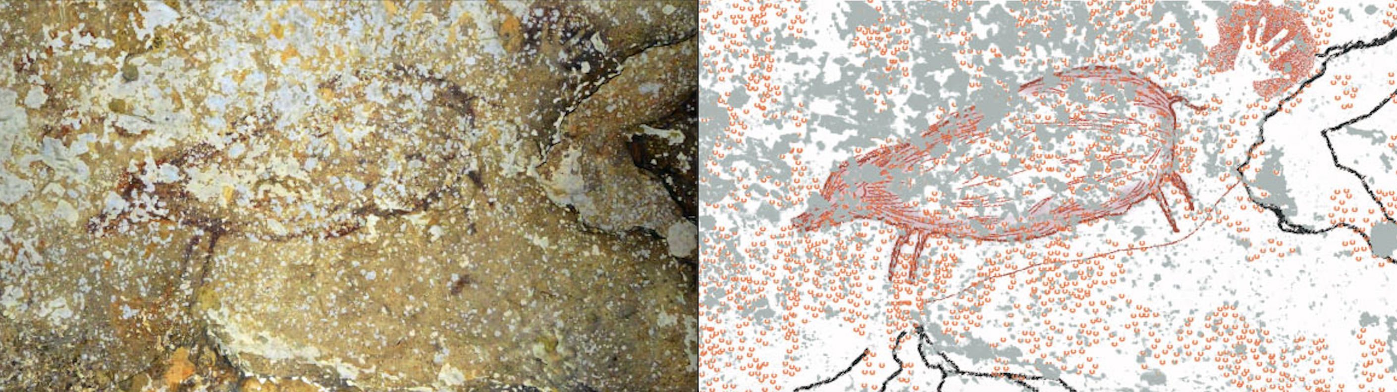 A 39,900-year-old hand stencil and a 35,400-year-old painting of a female babirusa inside Leang Timpuseng cave, Sulawesi, Indonesia (left). An illustration showing what the image would have looked like. (right). Image Credit: M. Aubert et al.