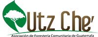 Utz Che'